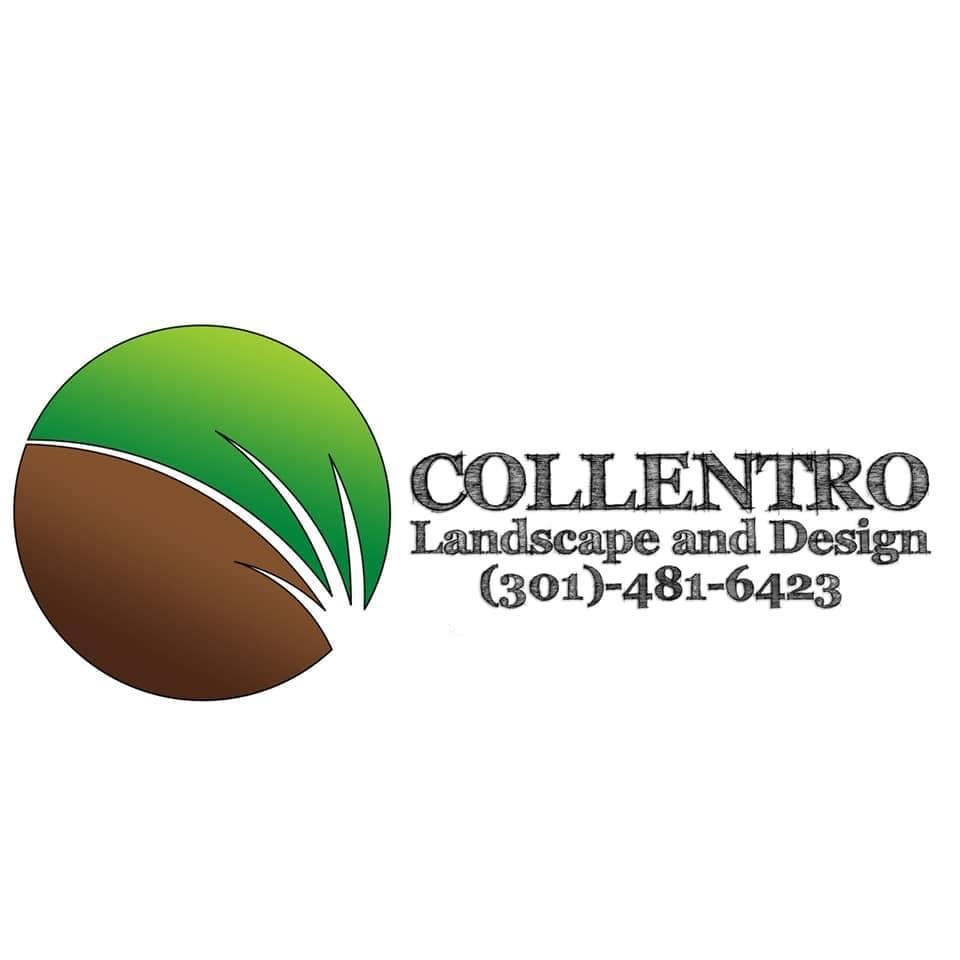 Avatar for Collentro Landscape and design