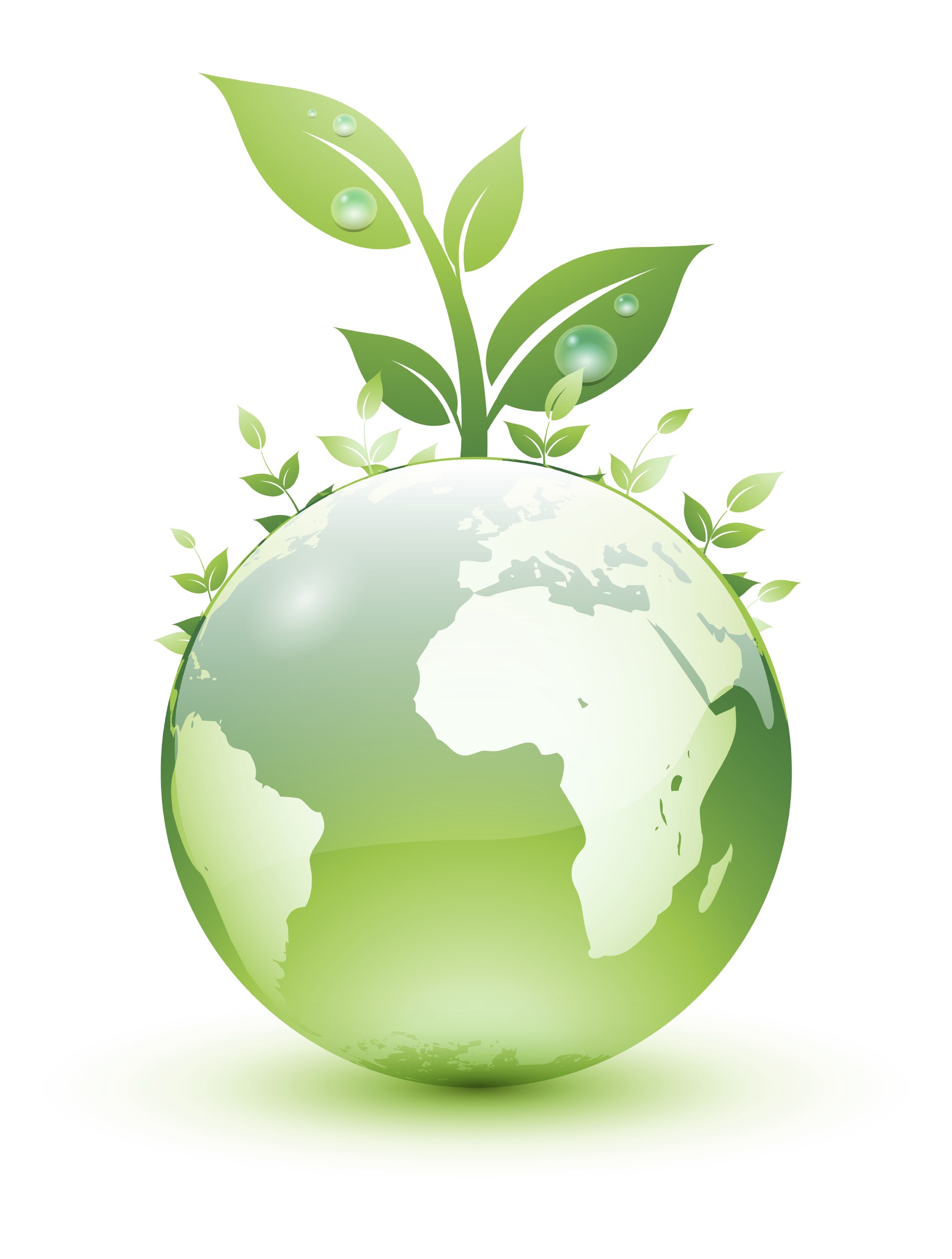 Spectrum Landscape Services LLC. logo