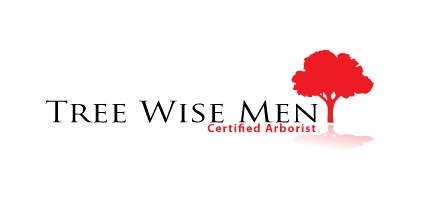 Logo for Tree Wise Men