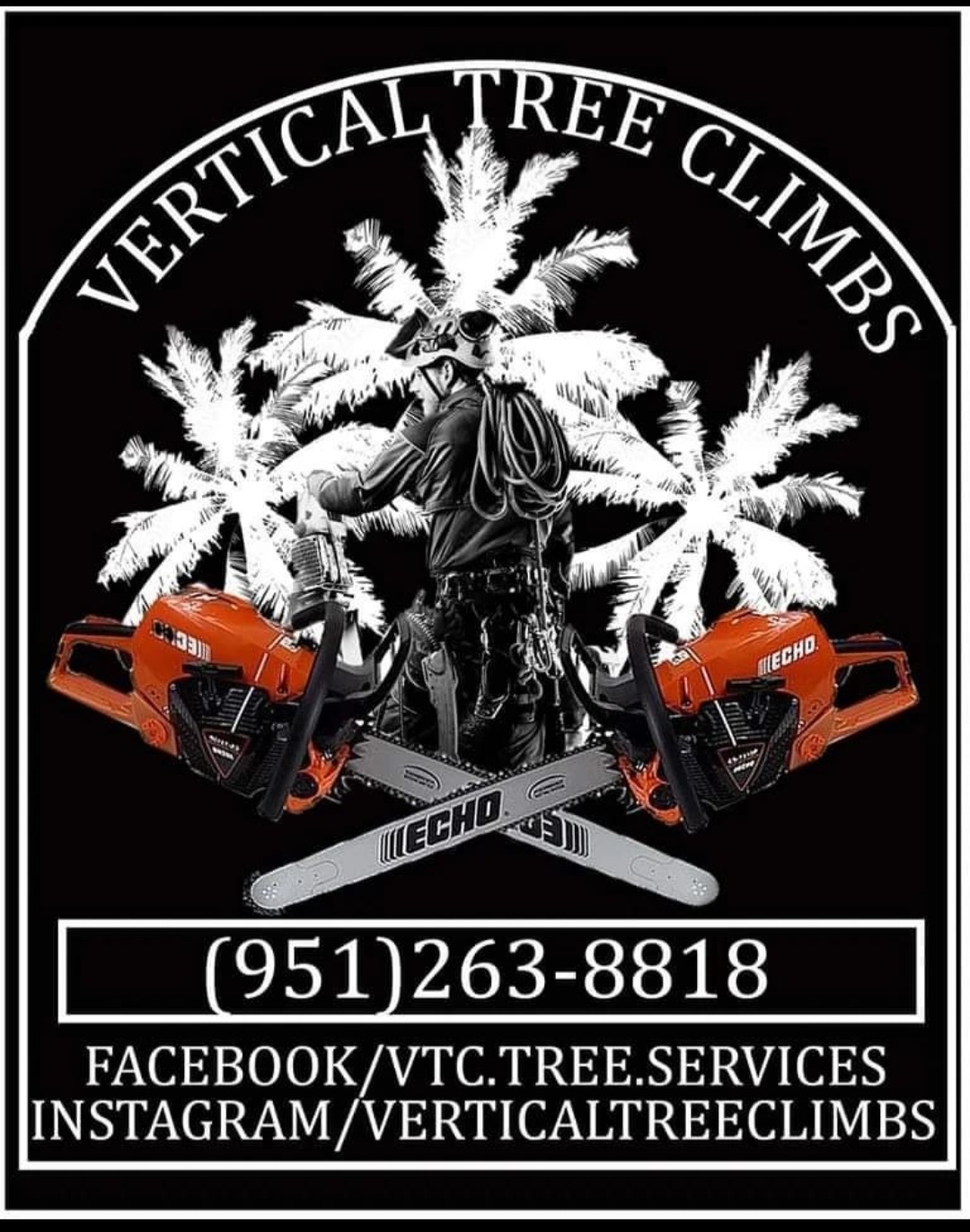 Avatar for Vtc Tree Services