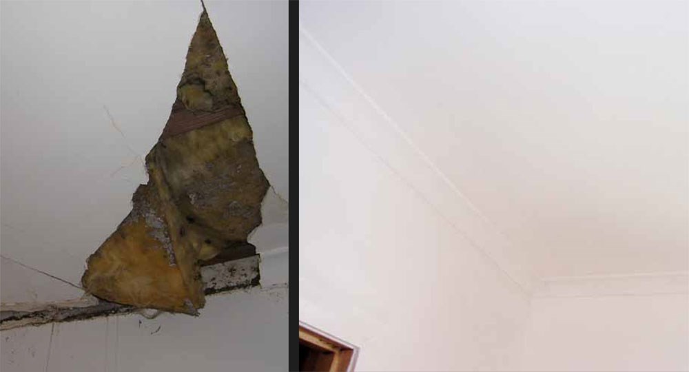 Avatar for Premier Renovations