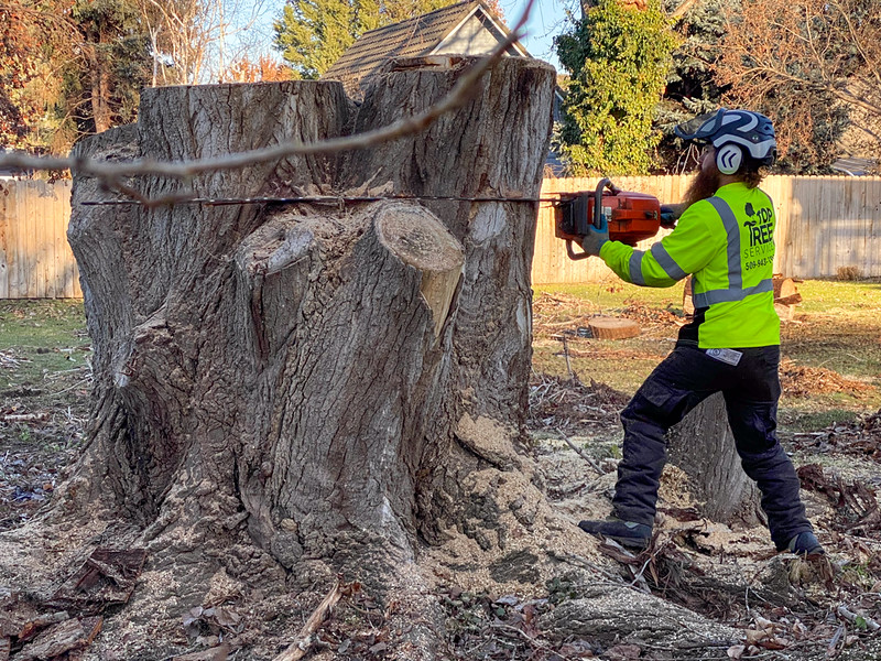 Top Tree Service LLC Reviews West Richland, WA Angi