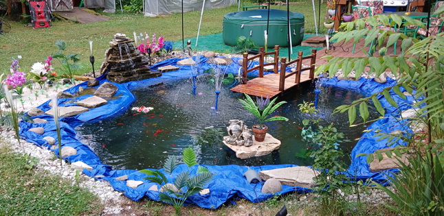 Avatar for Ponds by John-Peter