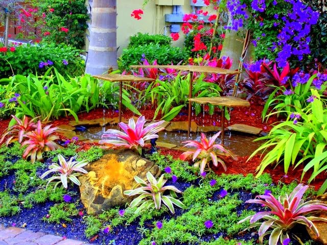 Exotic Fountains