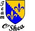 Brian OShea, Team OShea - WandoHomes.com logo