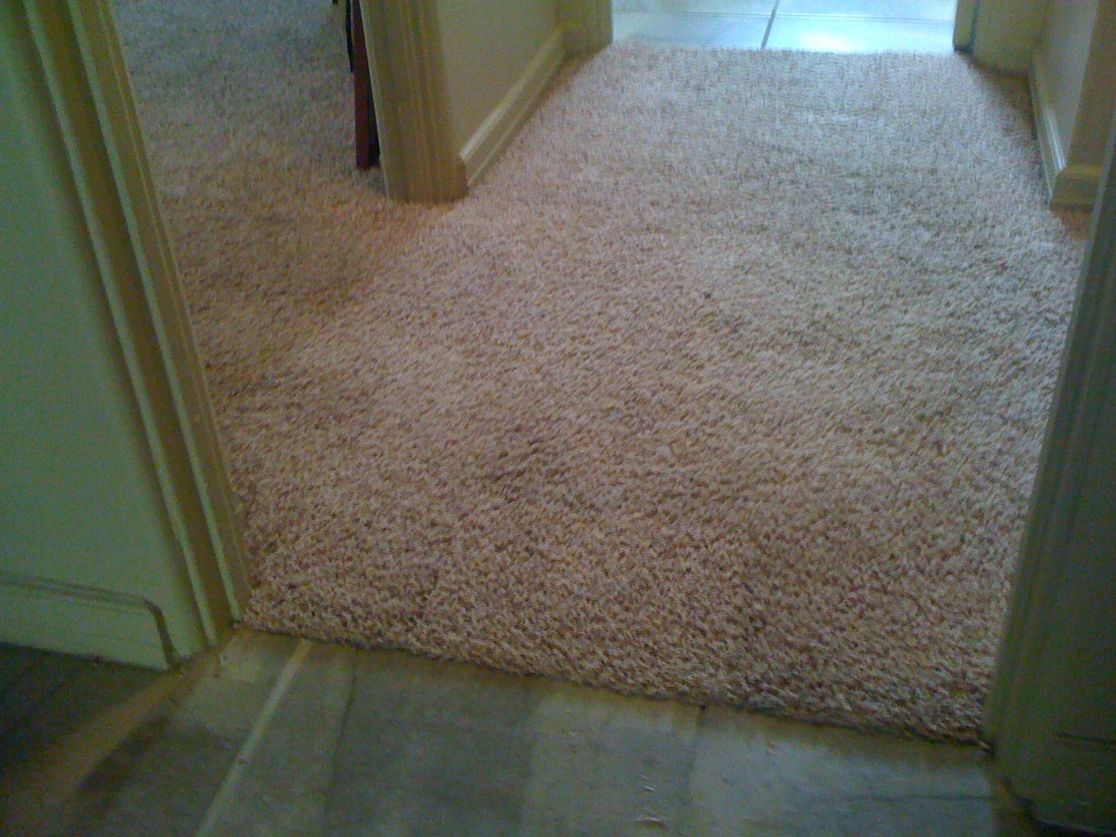 Avatar for Memphis Carpet Repair