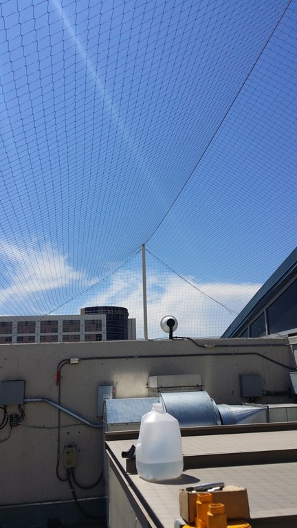 netting monorail las vegas