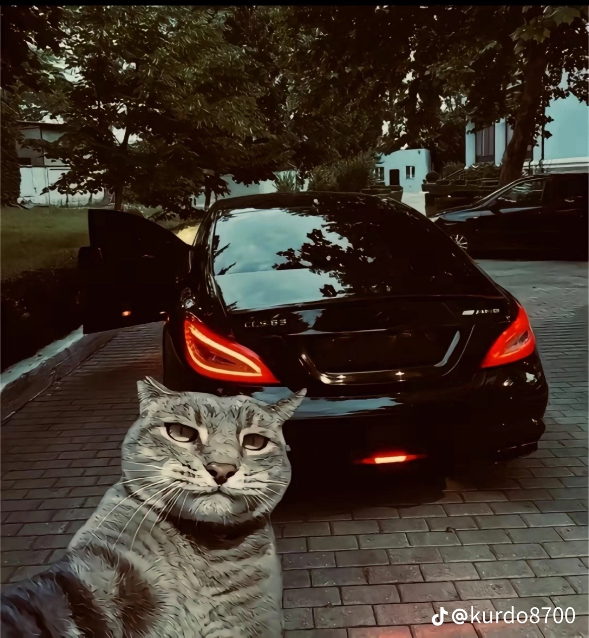 Avatar for omid transportation