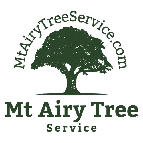 Avatar for Mt Airy Tree Service