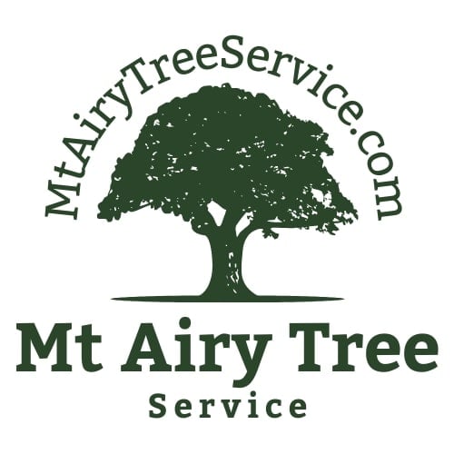 Mt Airy Tree Service logo