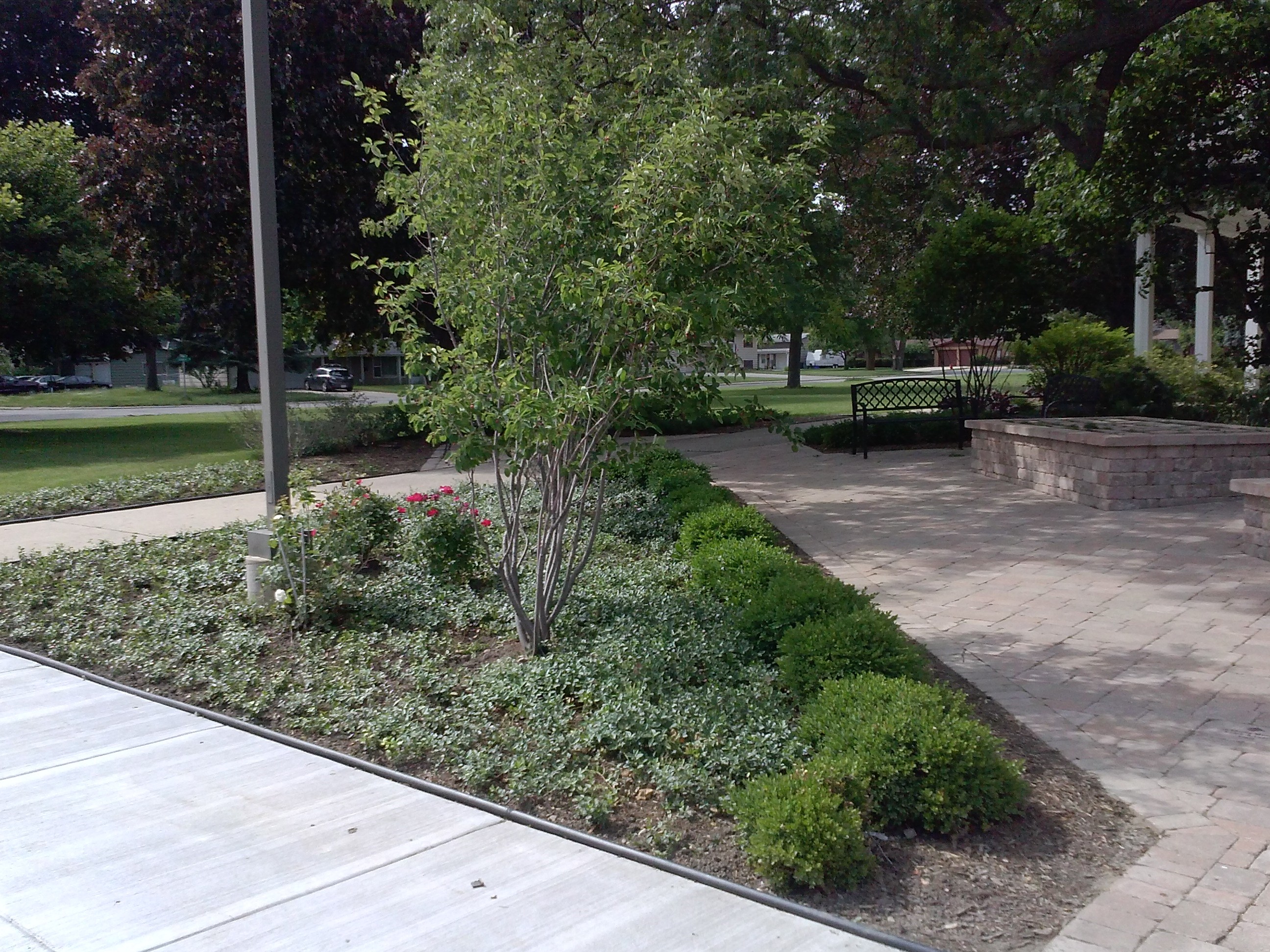 Avatar for Armadillo Landscape Services, Inc.