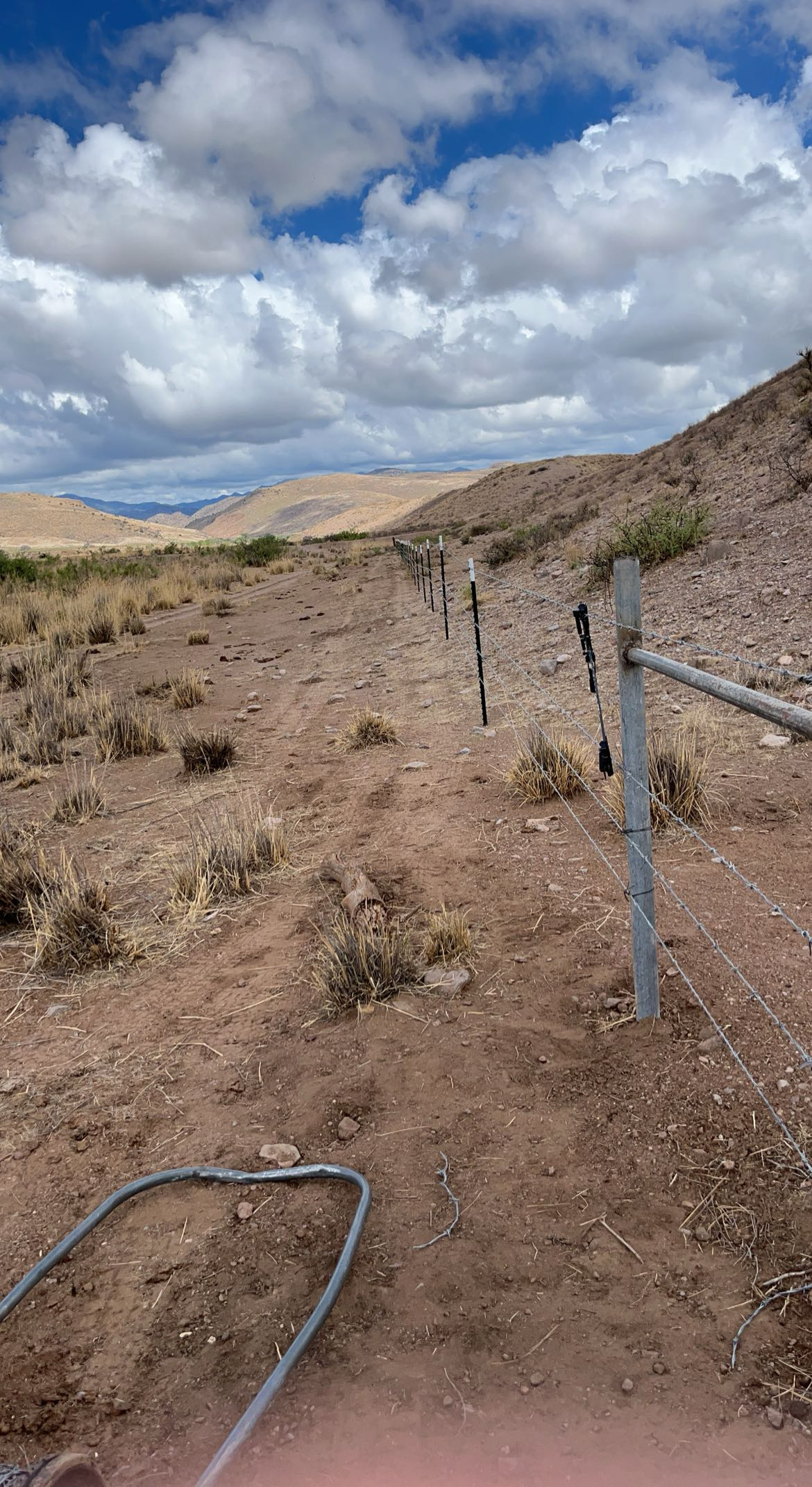 Avatar for Roberts bros