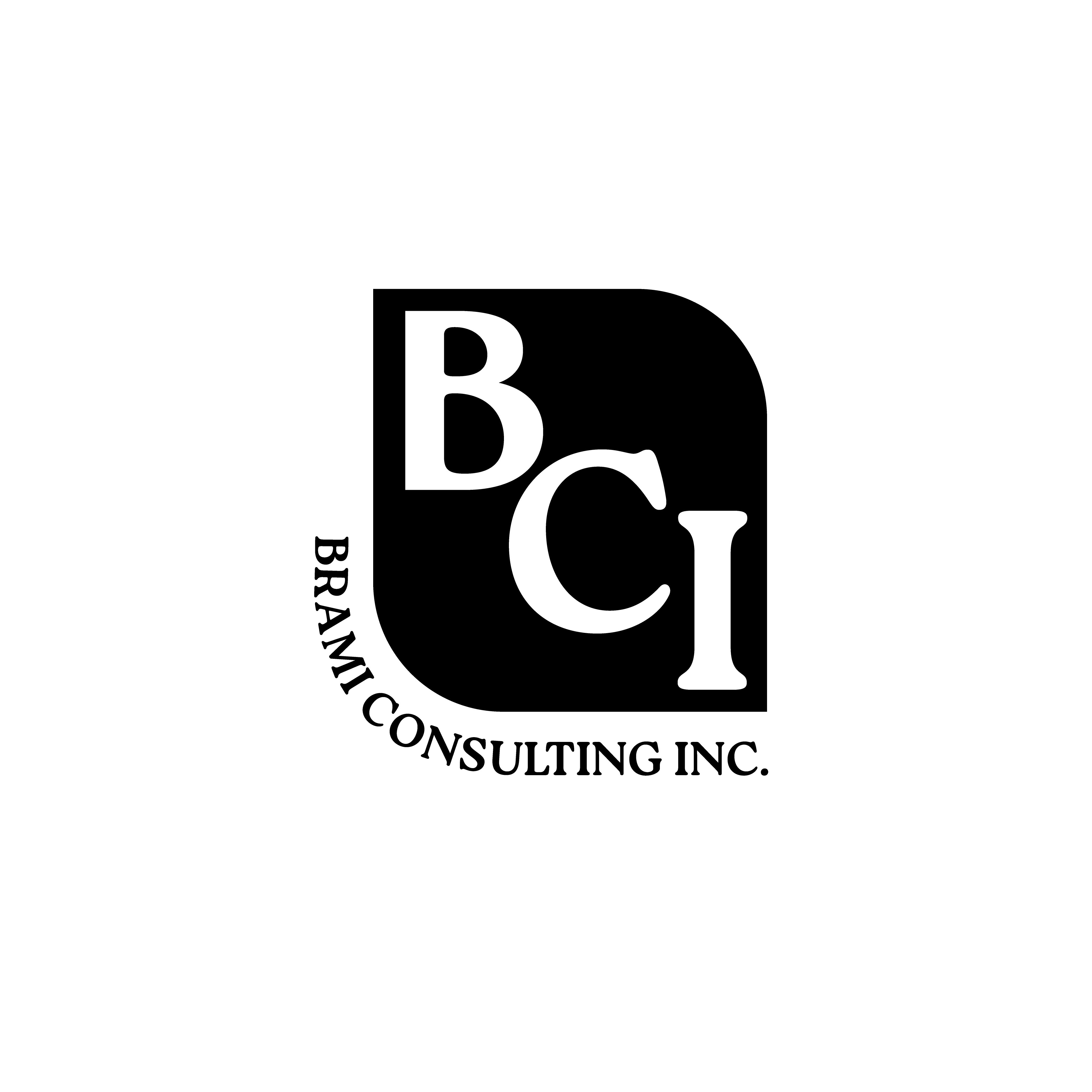 Avatar for Bramis Consulting Inc