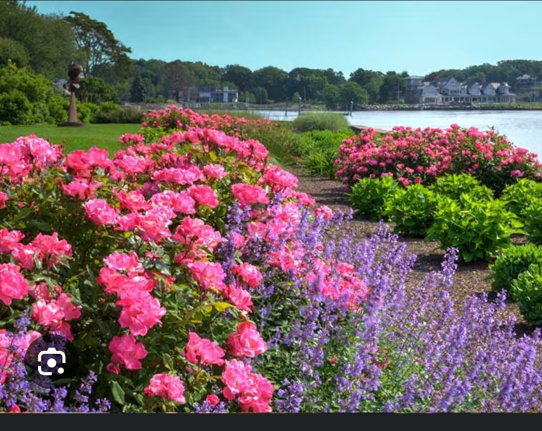 Avatar for Family Crest Property Management Group, llc 