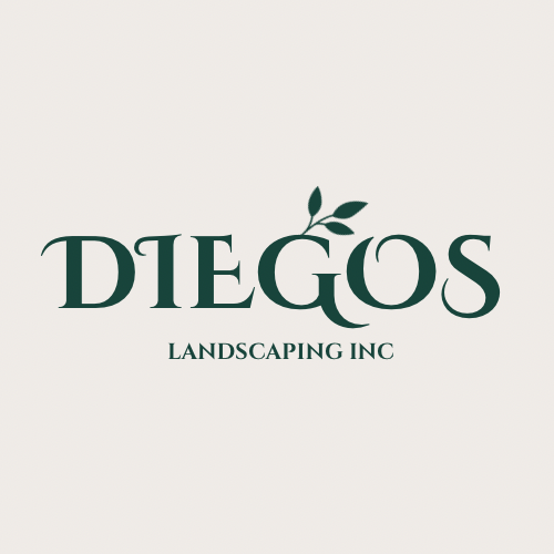 Avatar for Diegos Landscaping Inc