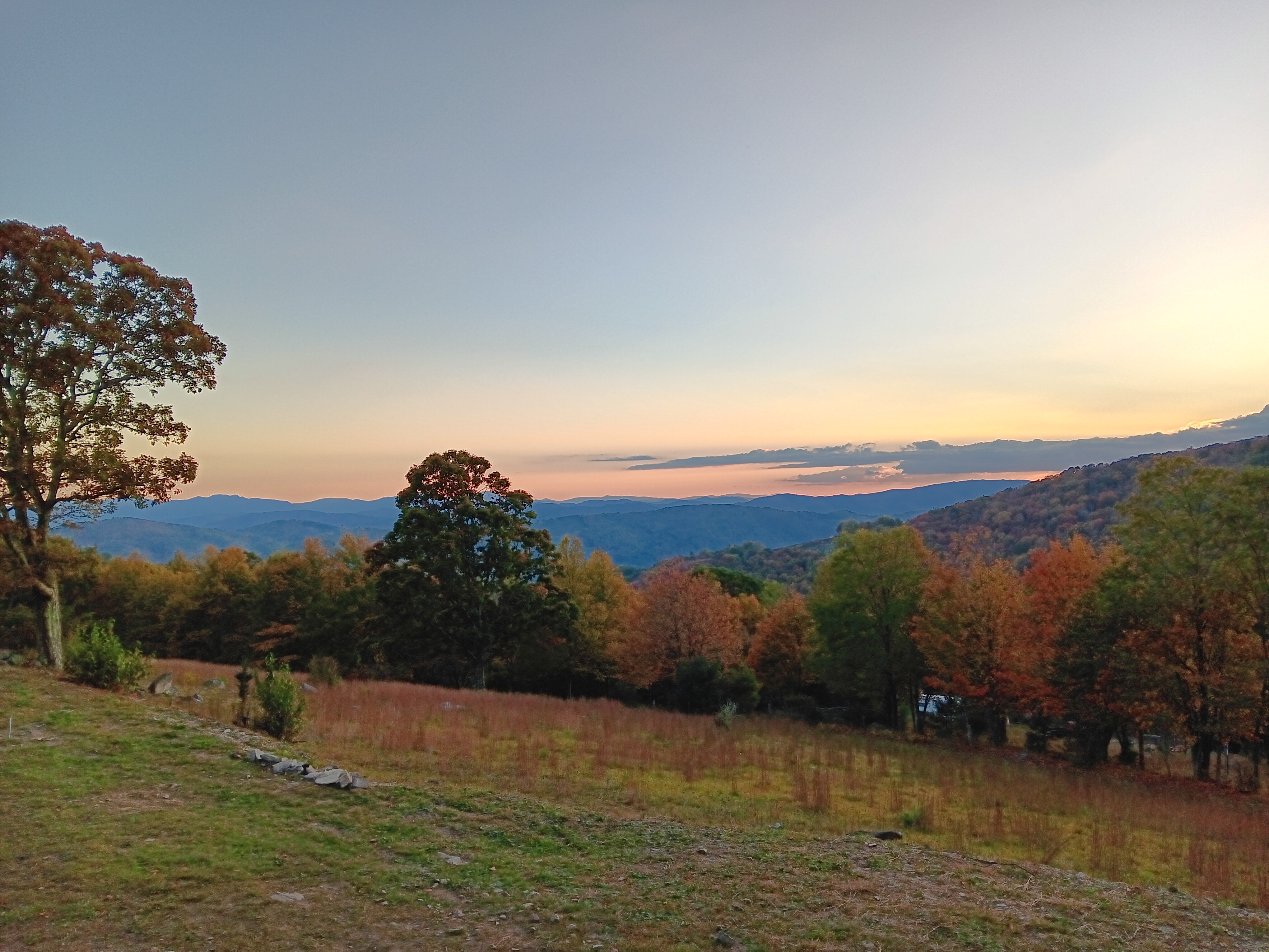 Avatar for T-Revs lawn care