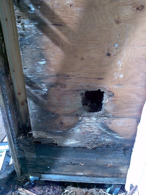 The Damage