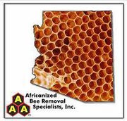 AAA AFRICANIZED BEE REMOVAL SPECIALISTS, INC. logo