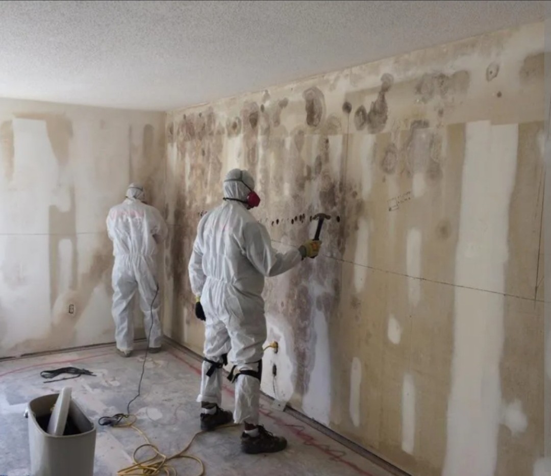 Avatar for Yager Perkins restoration 