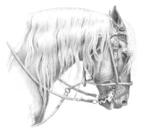 Avatar for Workhorse Excavation and Construction Inc