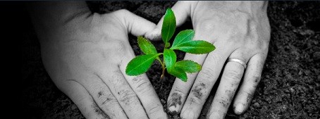 Avatar for Ecopluslawncare