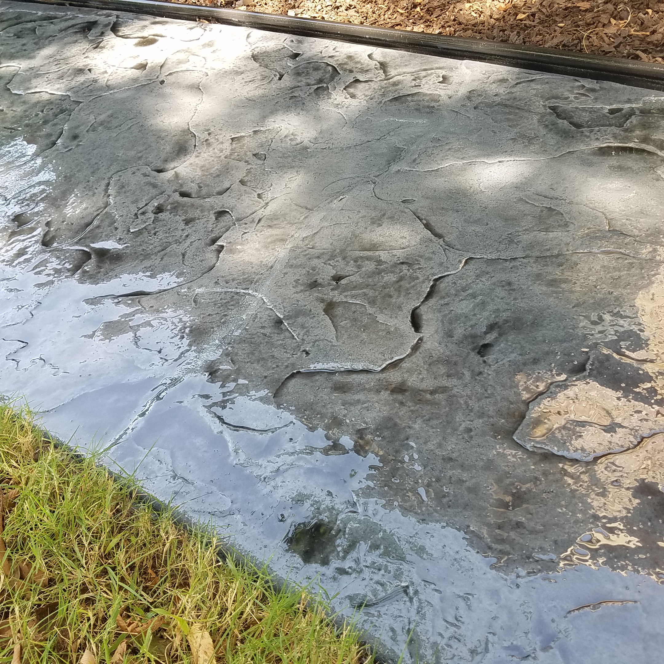 Avatar for Anthony's Custom Concrete