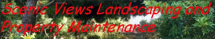 Logo for Scenic Views Landscaping