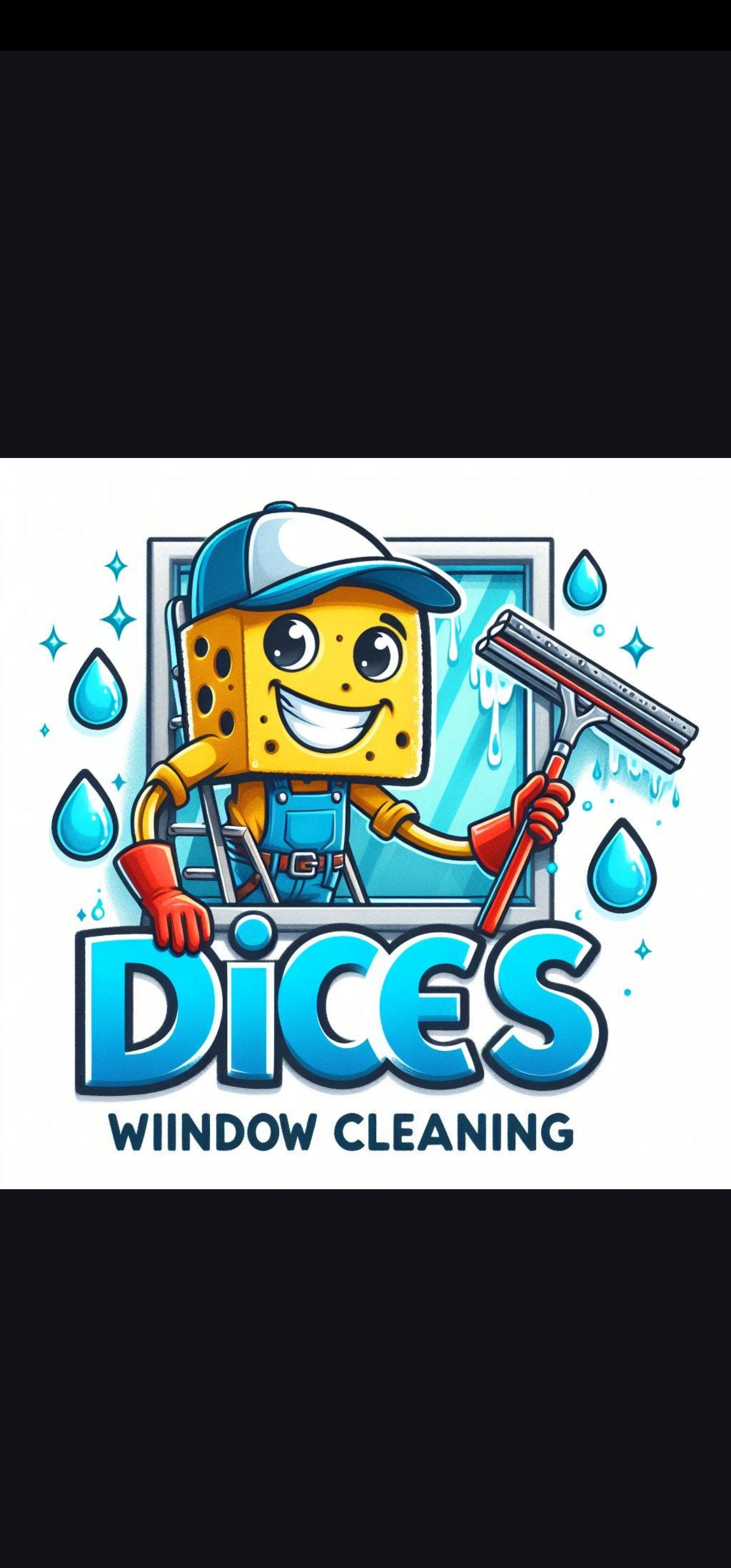 Avatar for Dices Window Cleaning