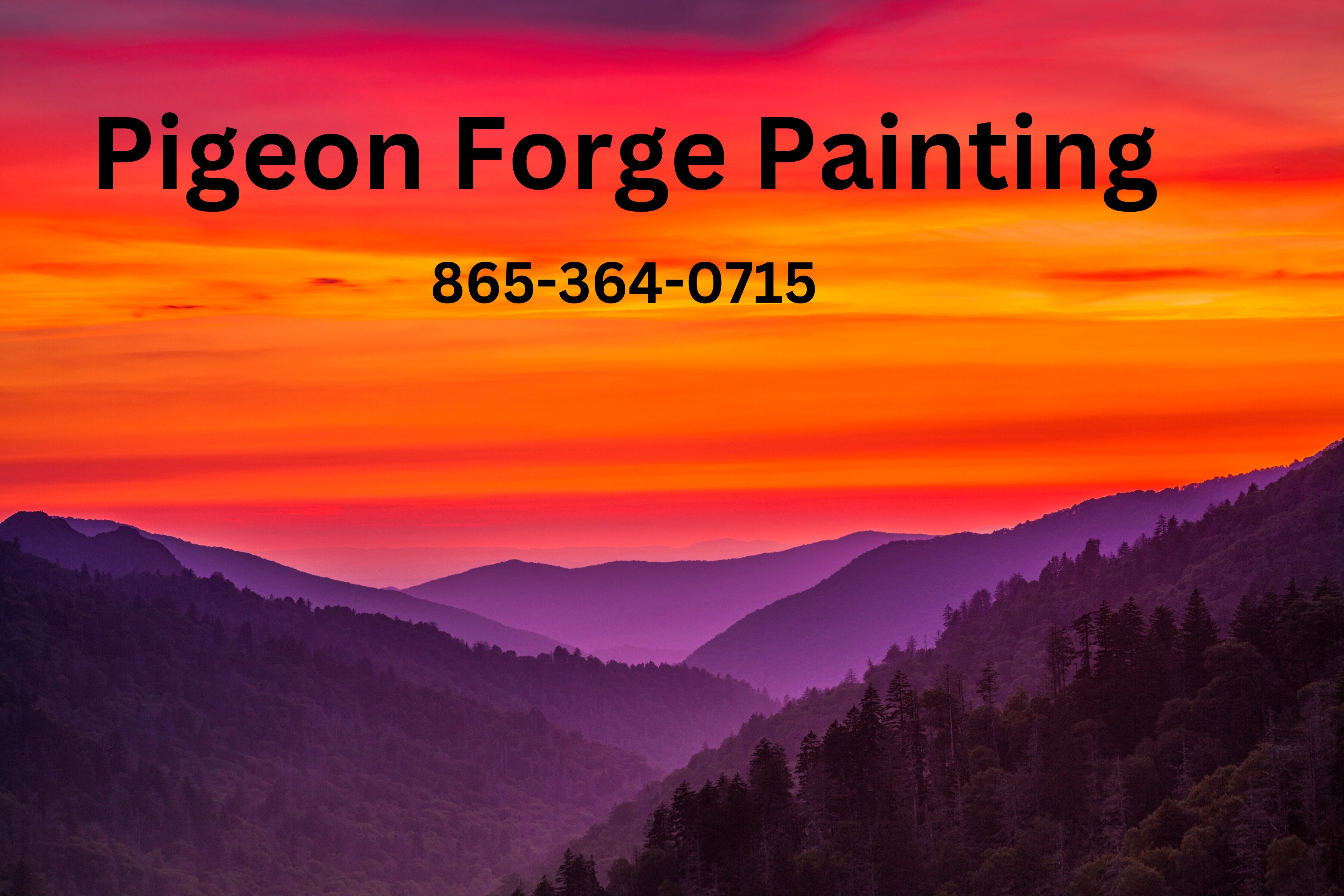 Avatar for Pigeon Forge Painting