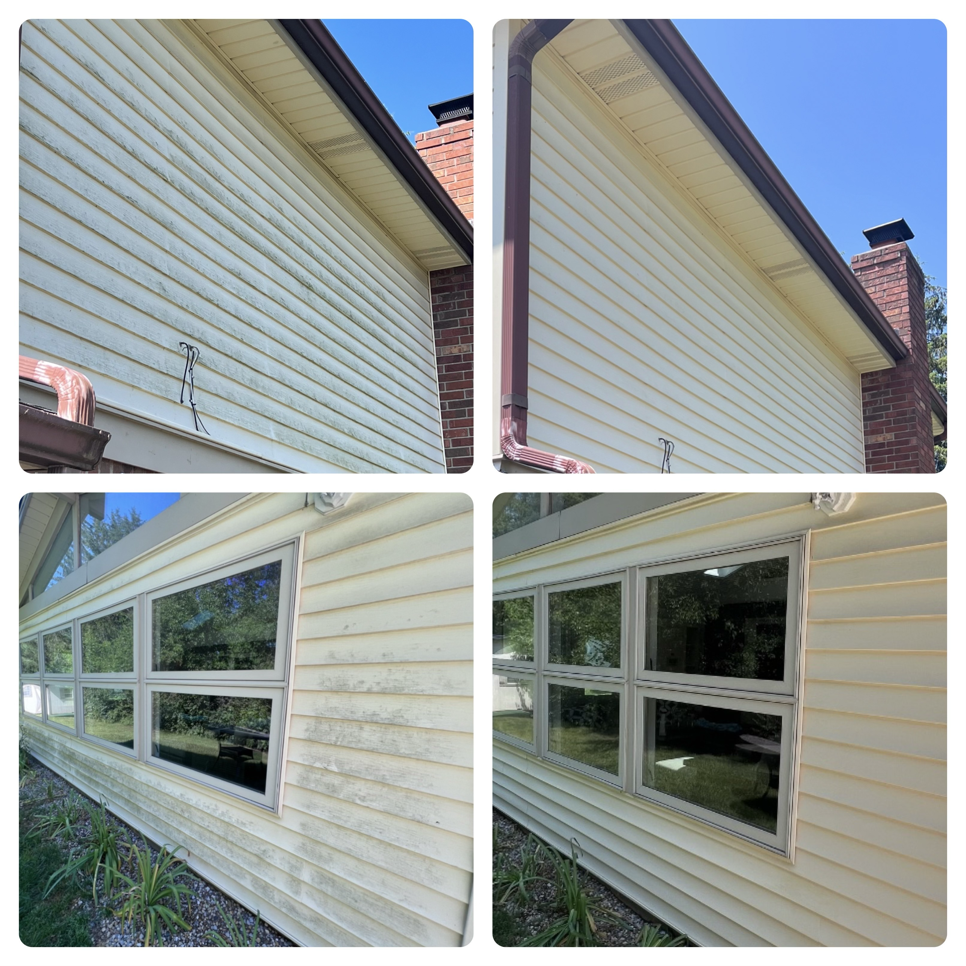 Avatar for IndyHydroClean