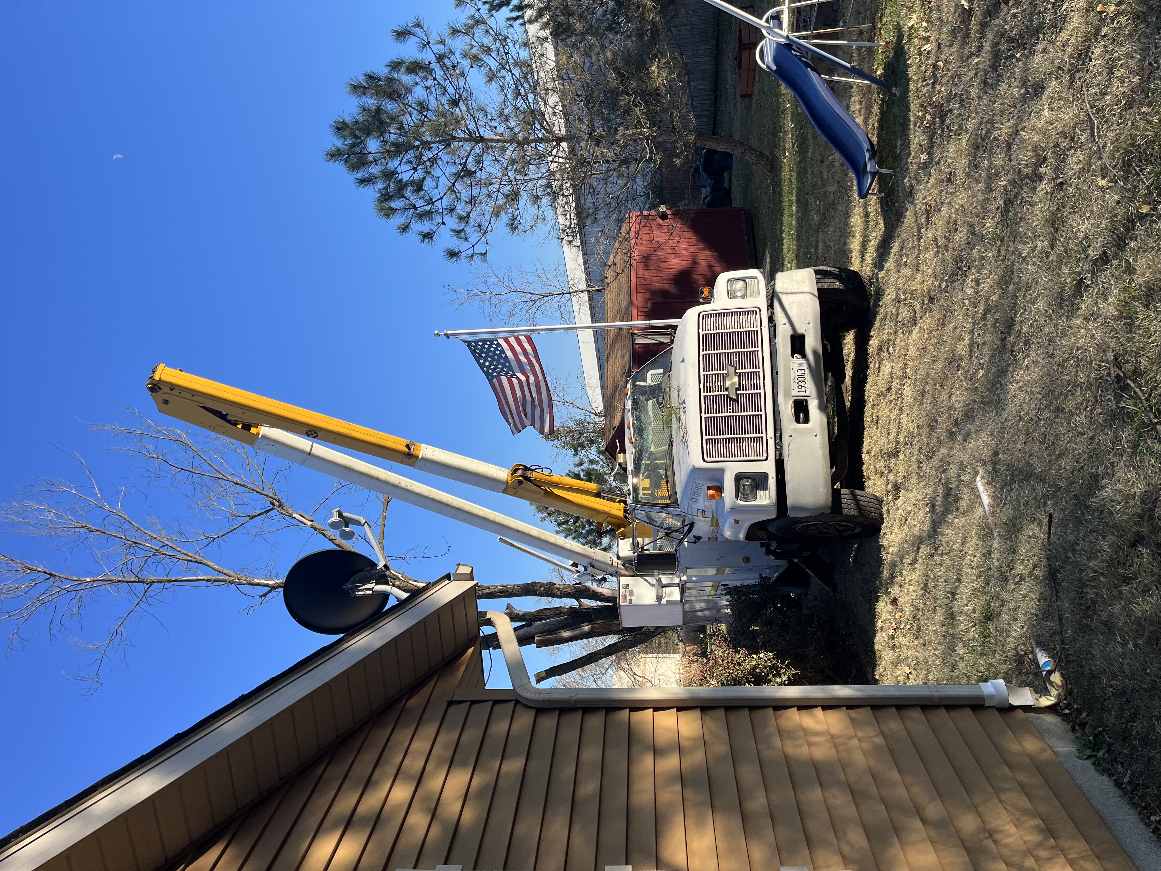 Avatar for Triple s tree