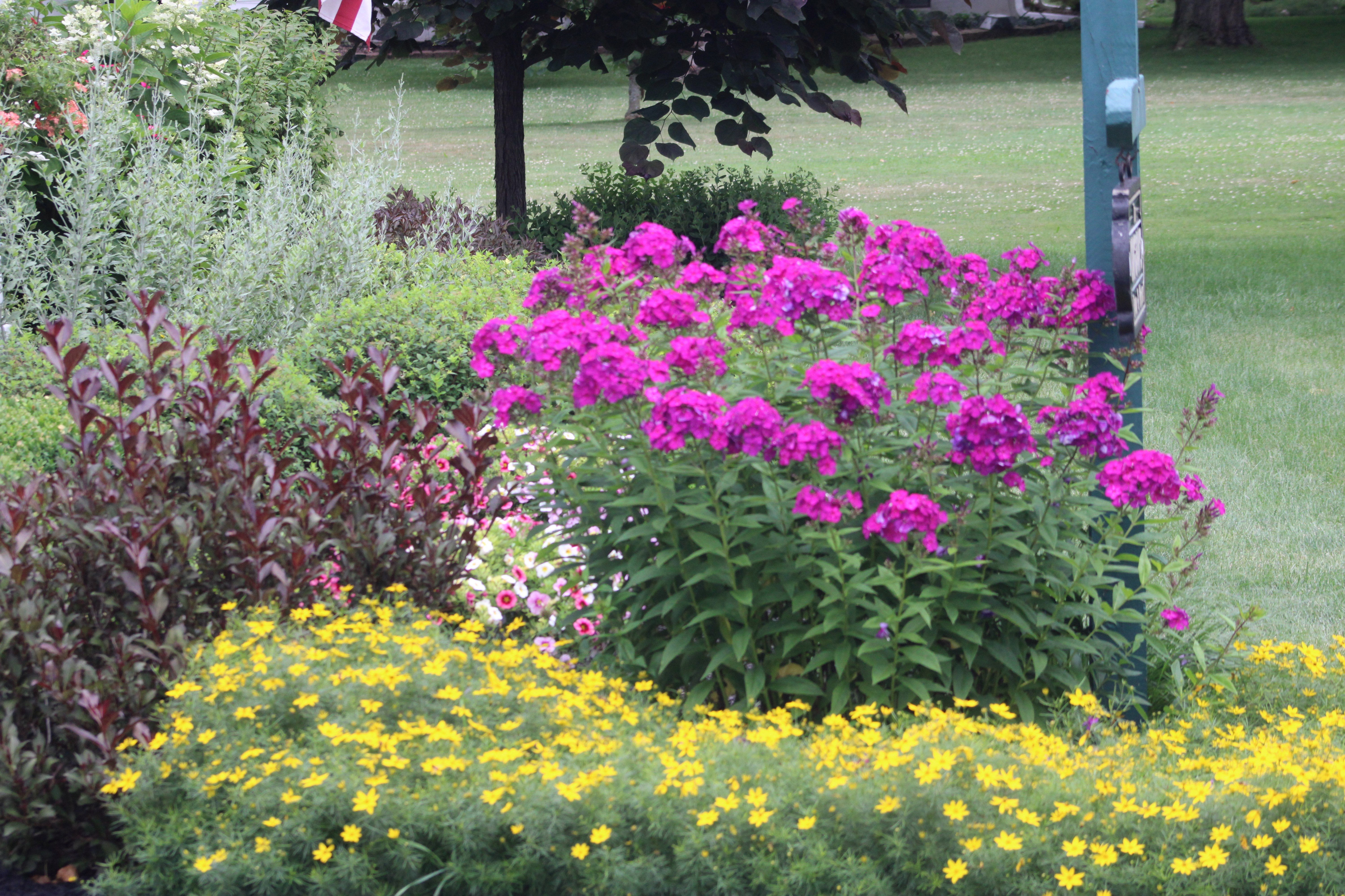 Avatar for Genesee Valley Landscape Co. inc.