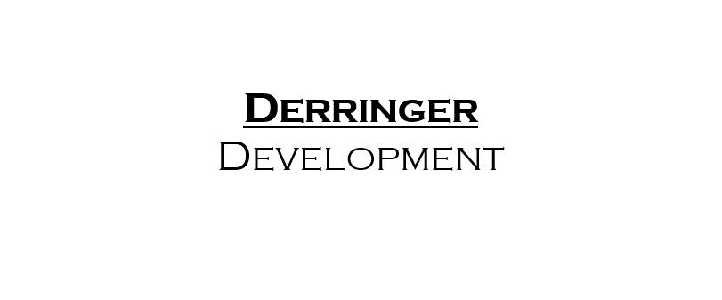 Avatar for Derringer Development LLC
