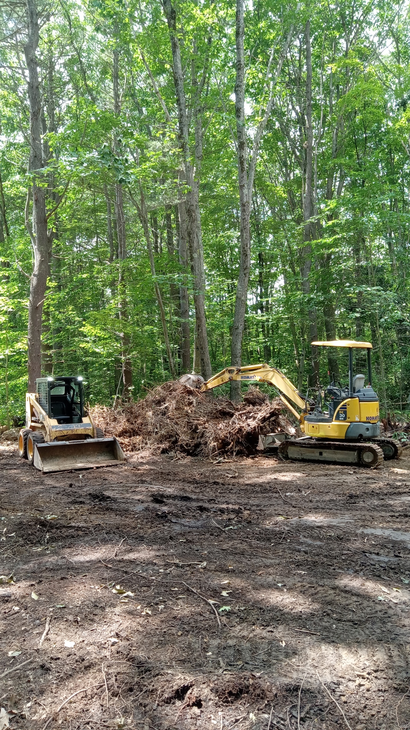 Avatar for Echo Excavation