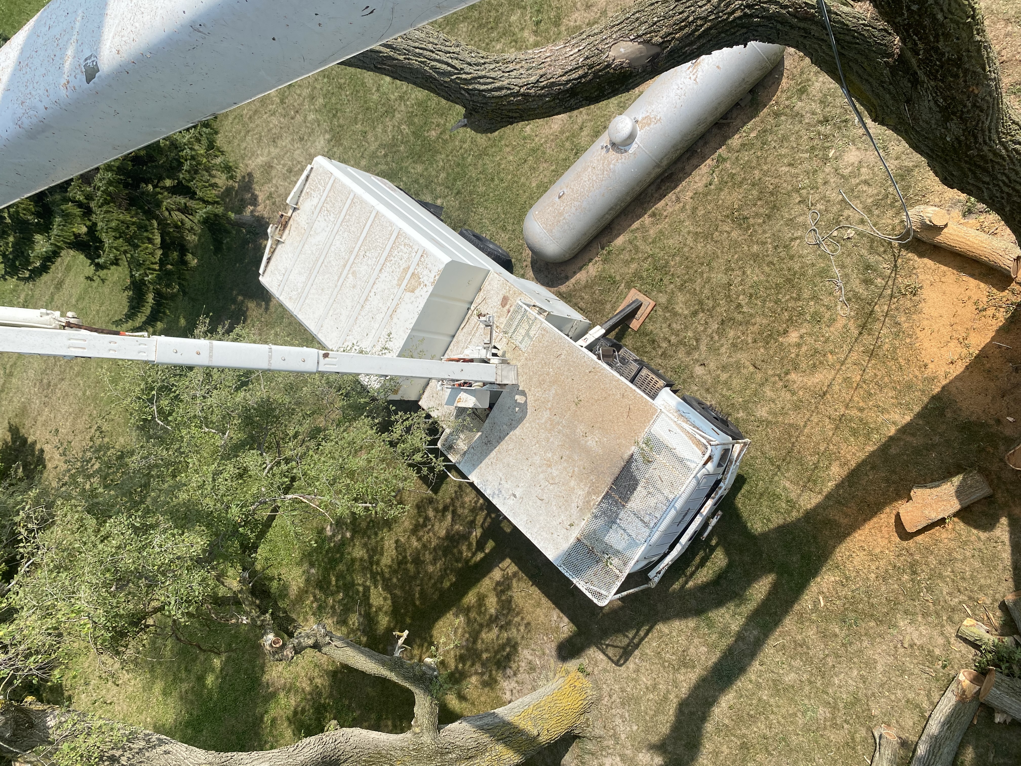 Avatar for A&T tree service &lawn care