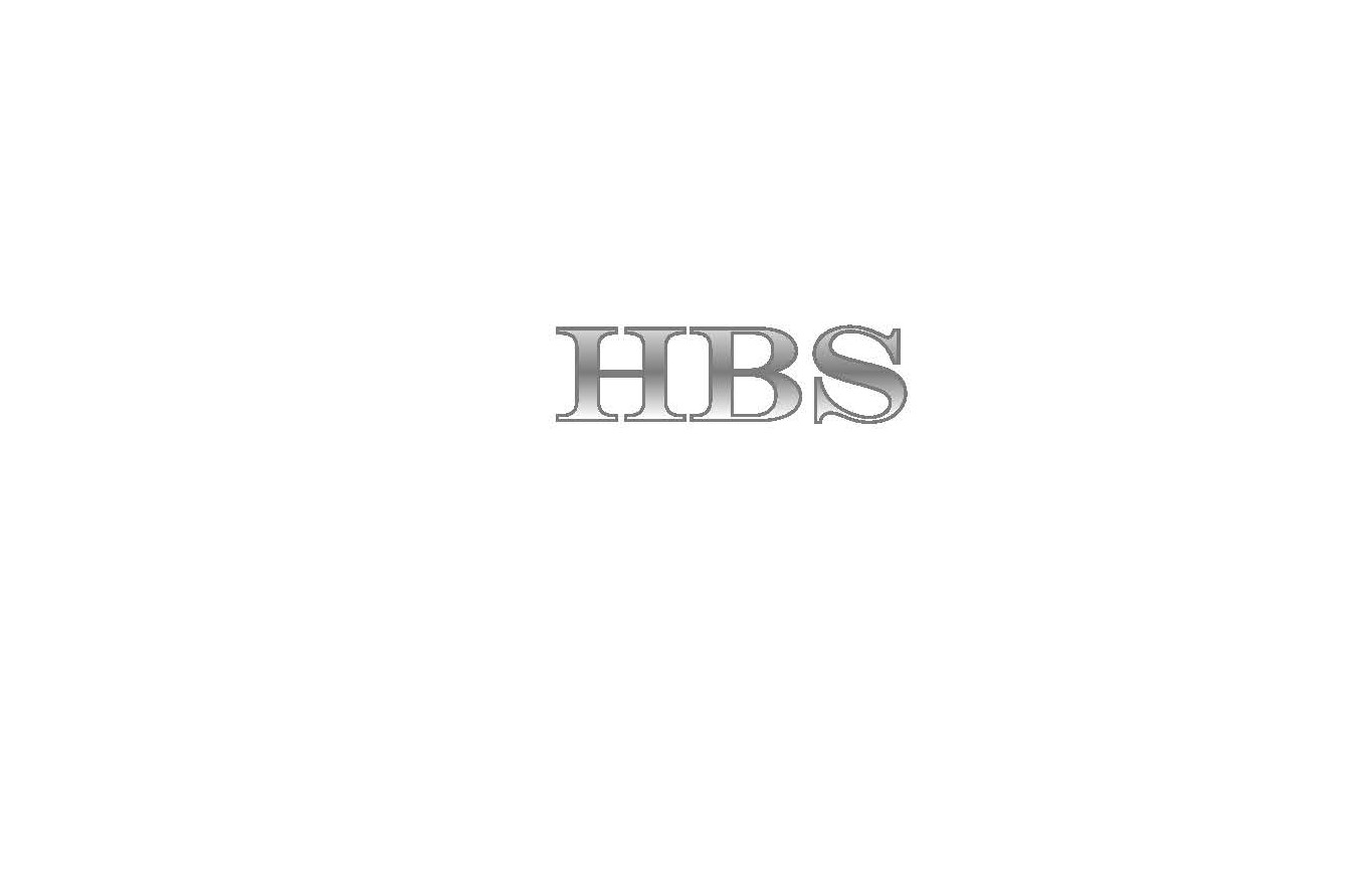 Halcro Business Services LLC logo
