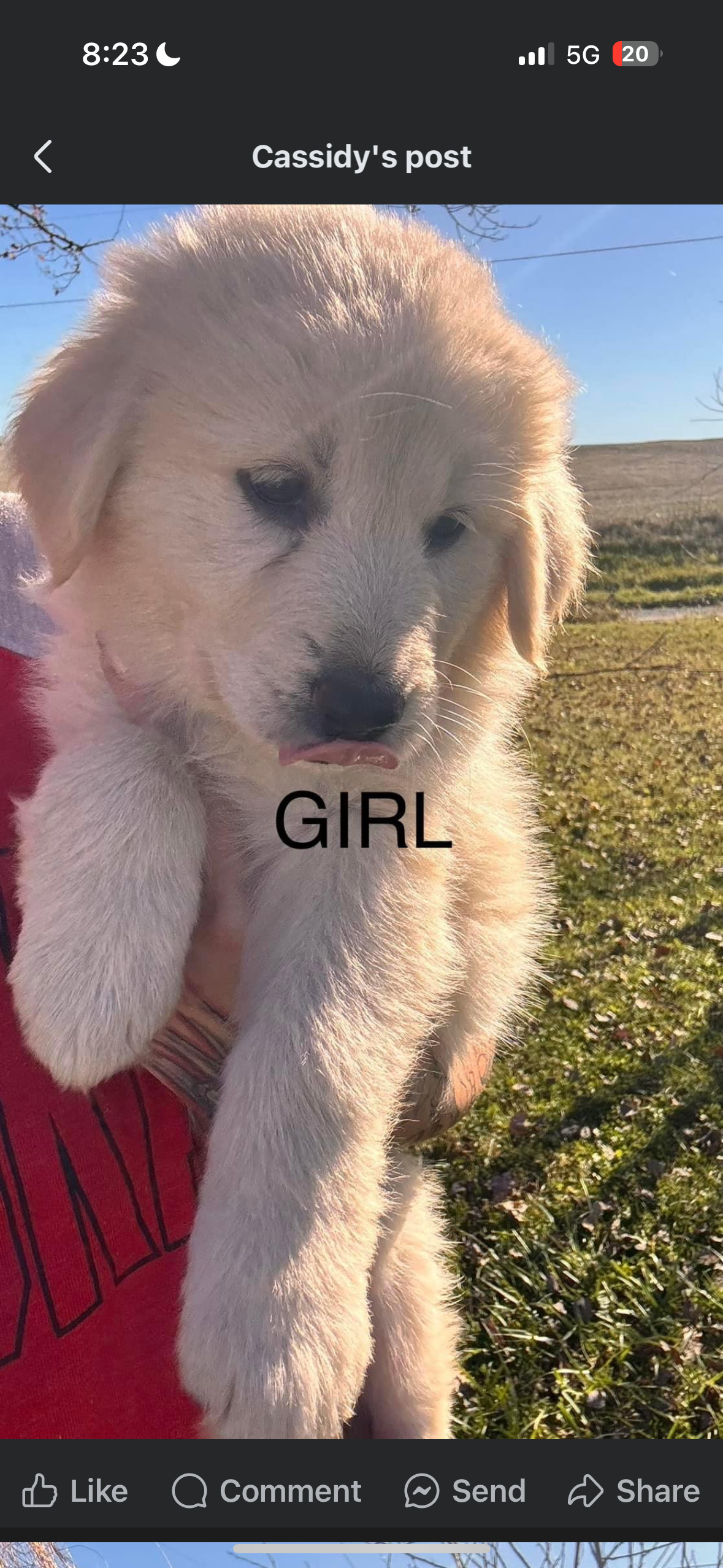 Avatar for J&M cleaning