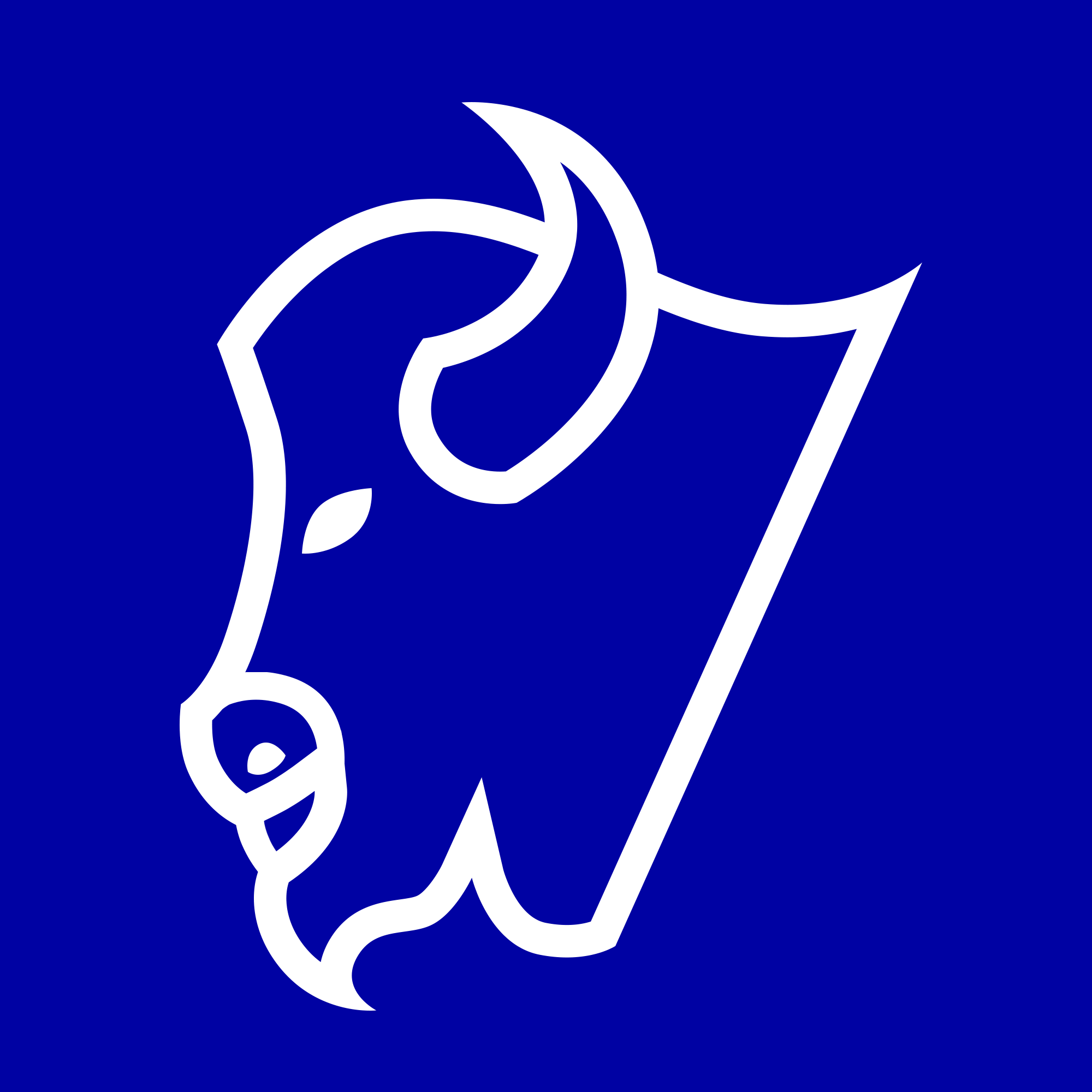 Avatar for Blue Bison