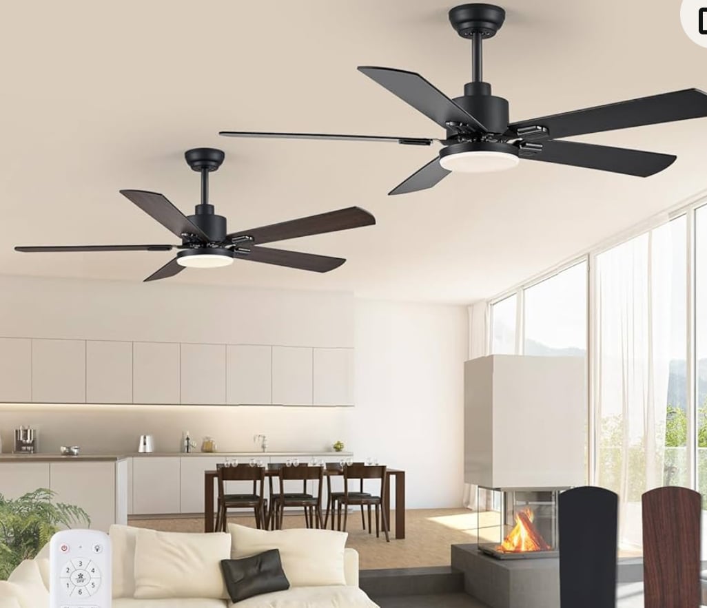 Avatar for Manny Molina