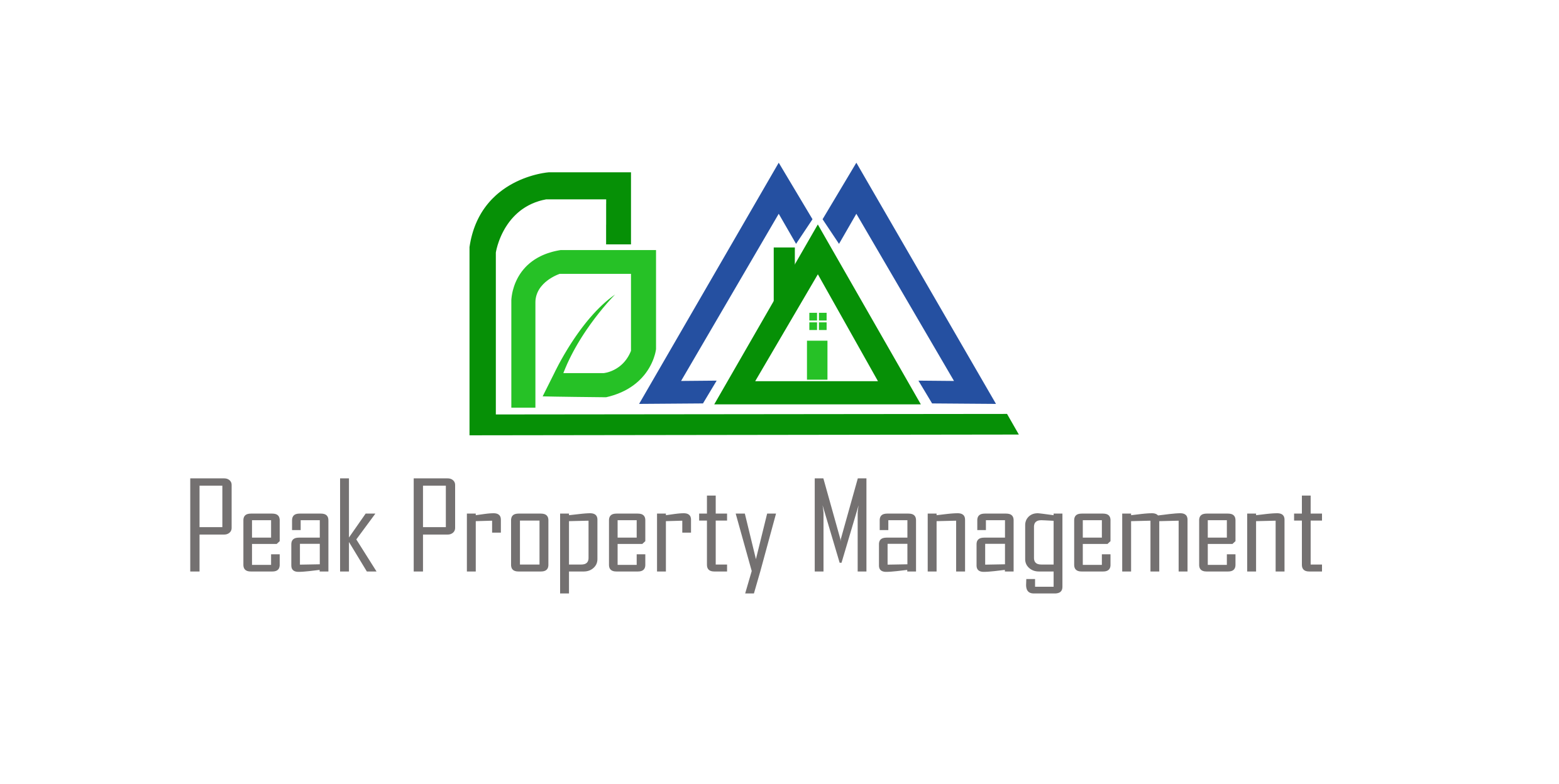 Peak Property Management logo