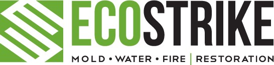 Logo for EcoStrike