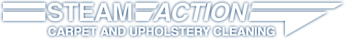 Avatar for Steam Action Carpet & Upholstery Cleaning