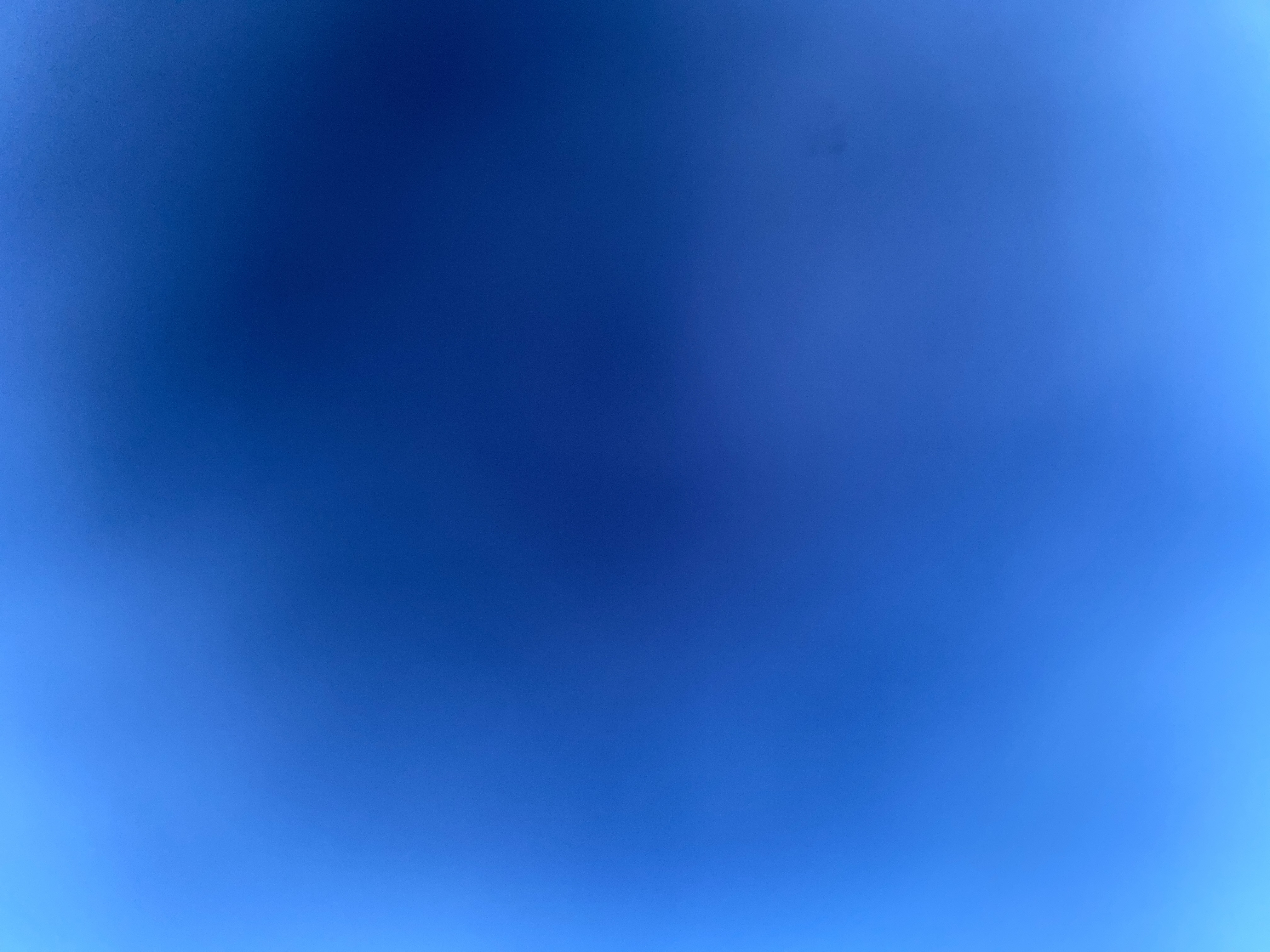 Avatar for Vivian Domy's Pene Restaurant