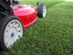 Avatar for Cleaning & Landscaping Services