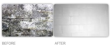 Before & After Mold Remediation