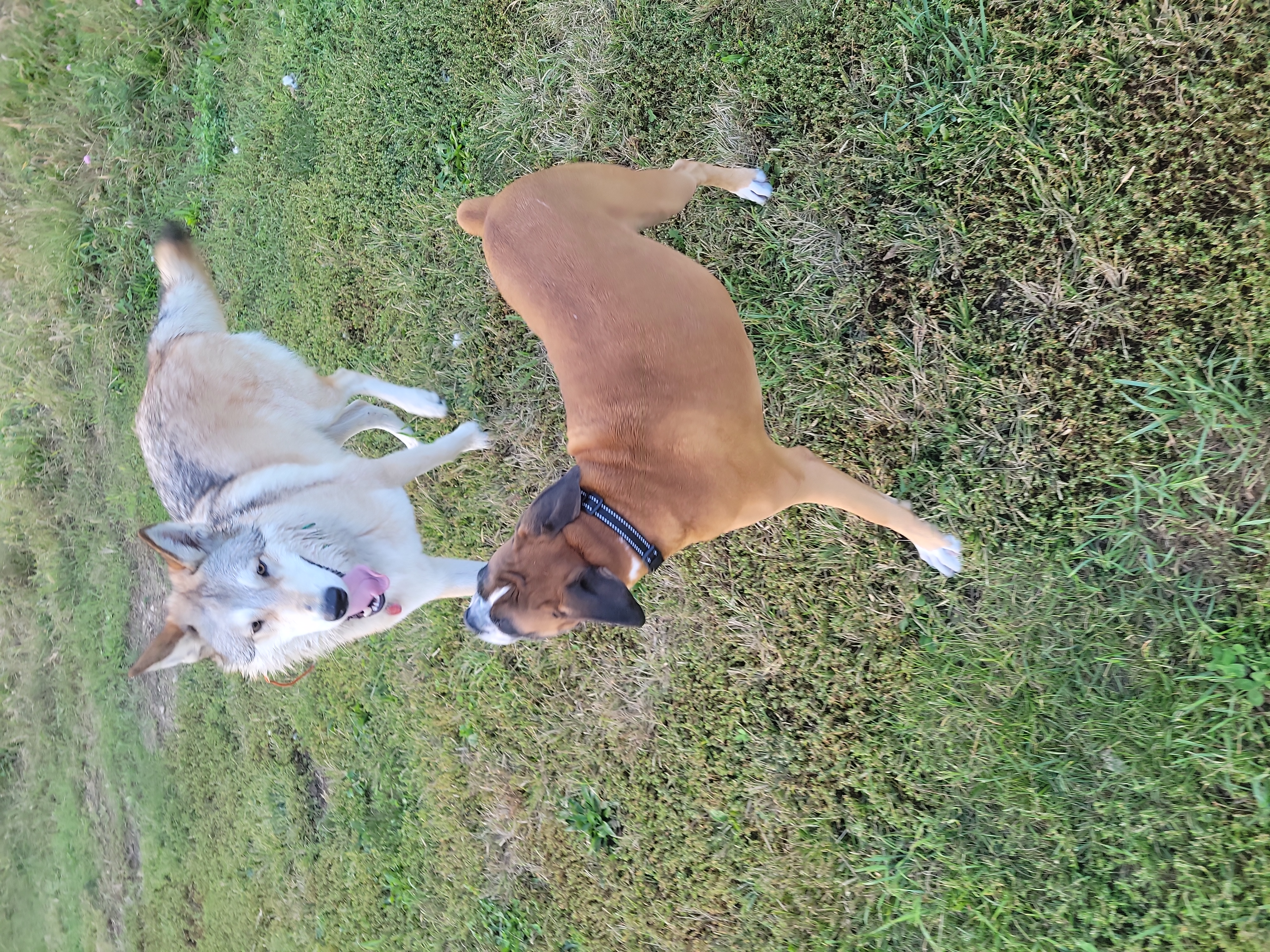 Avatar for Mike Shaw