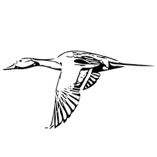 Avatar for JPL SERVICES