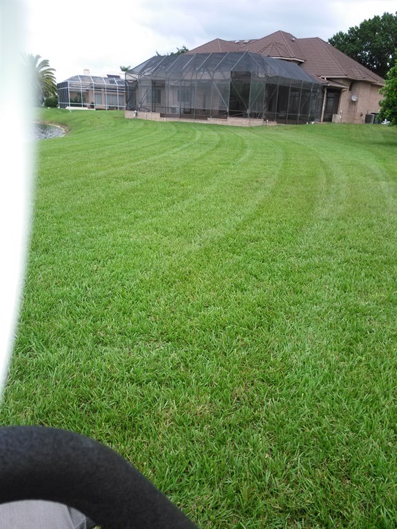lawnntrim