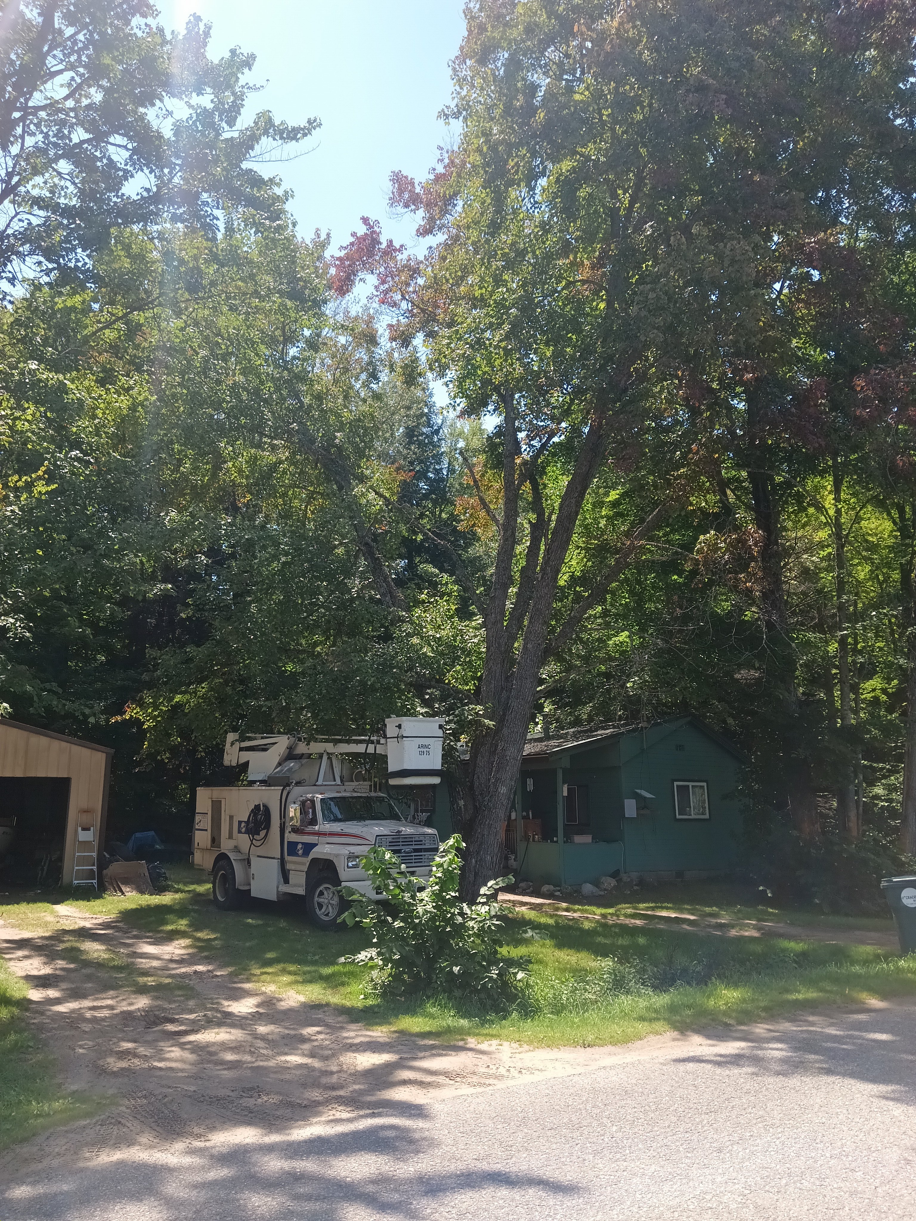 Avatar for Precisionary Tree Service