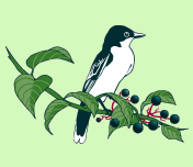 Avatar for GreenWeaver Landscapes,LLC